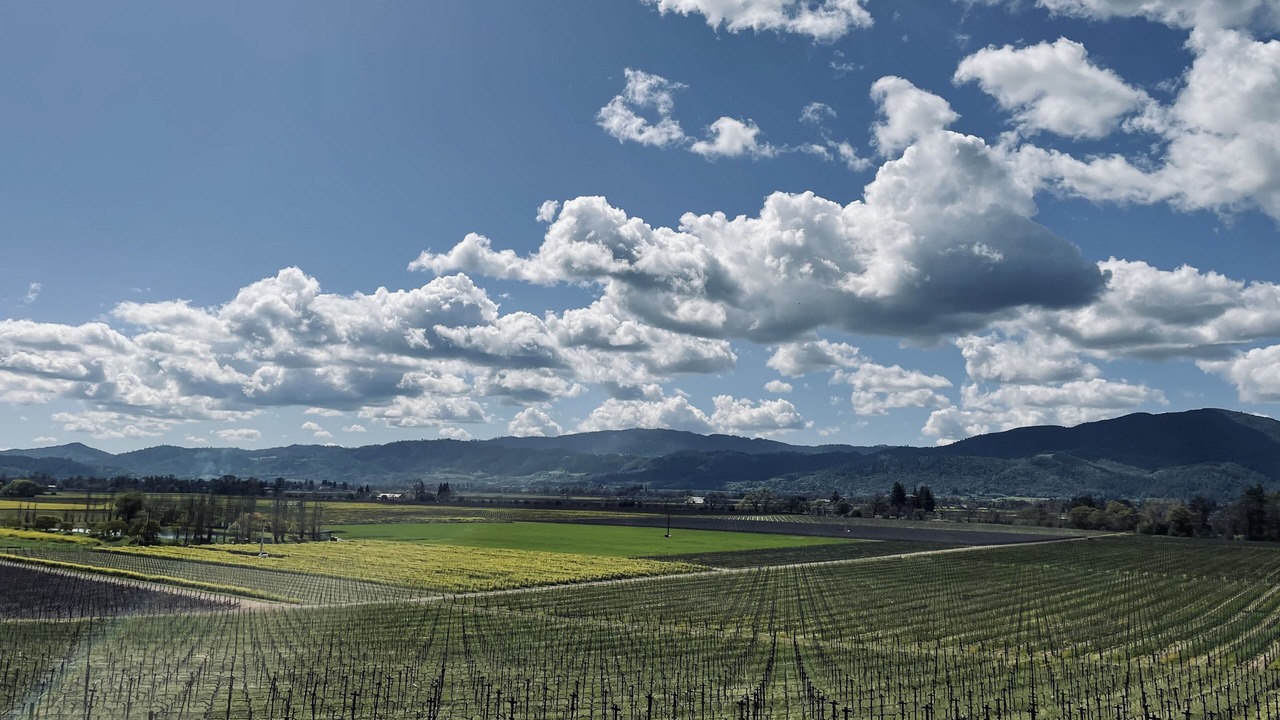 Photo of Others in Napa
