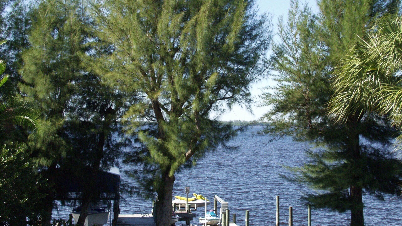 Photo of Outdoor in Biggar