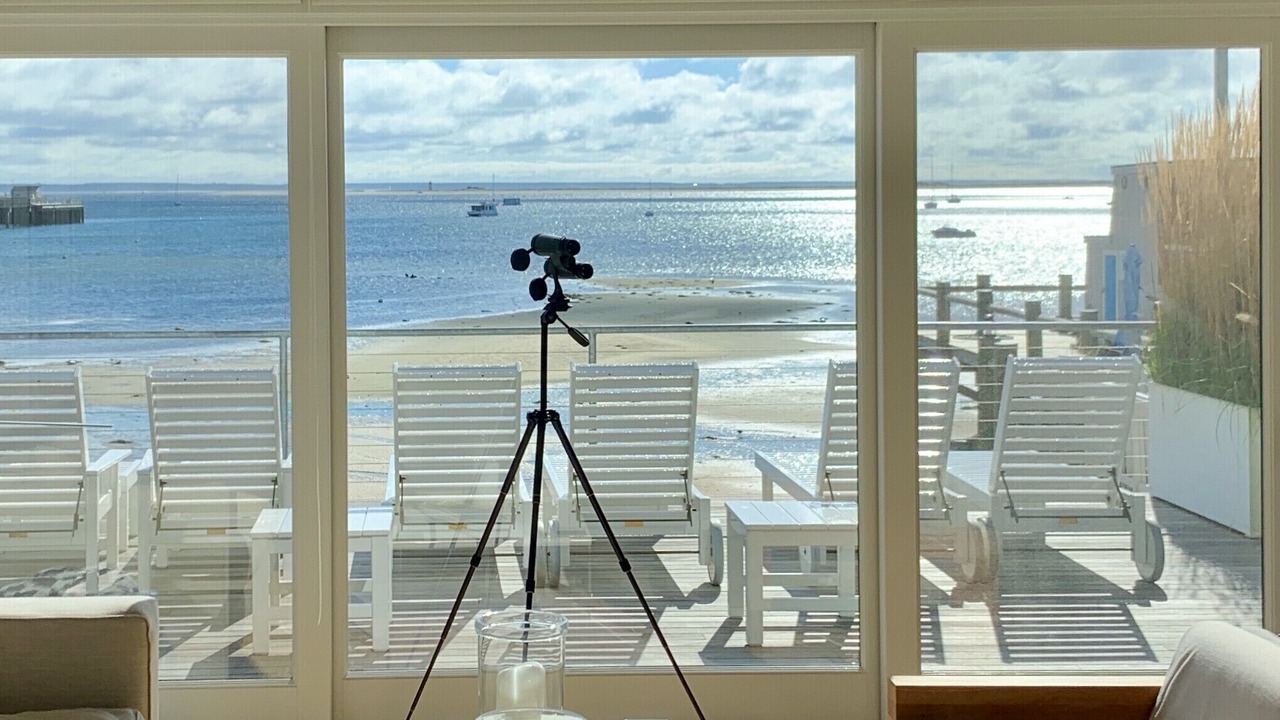 Photo of Others in Provincetown