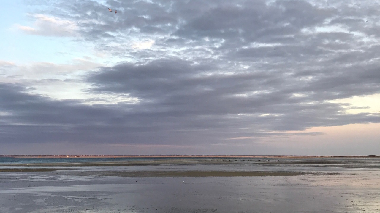 Photo of Others in Provincetown