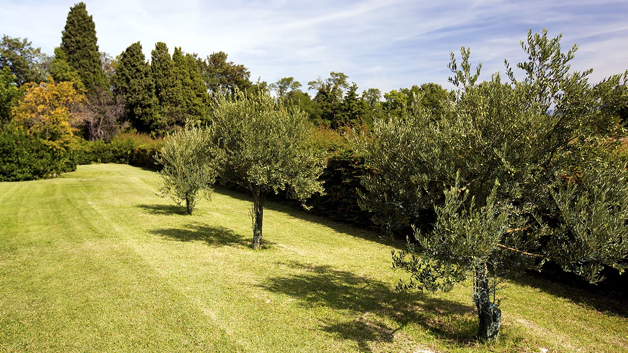 Photo of Outdoor in Bollene