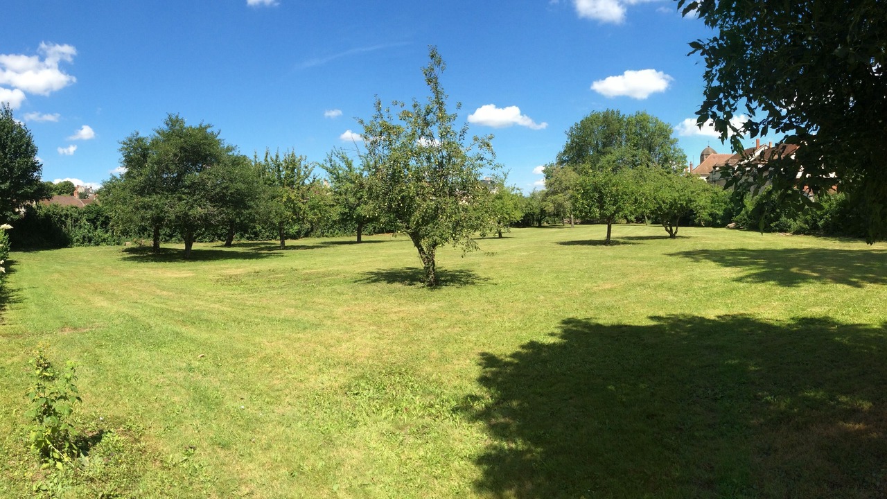 Photo of Outdoor in Clamecy