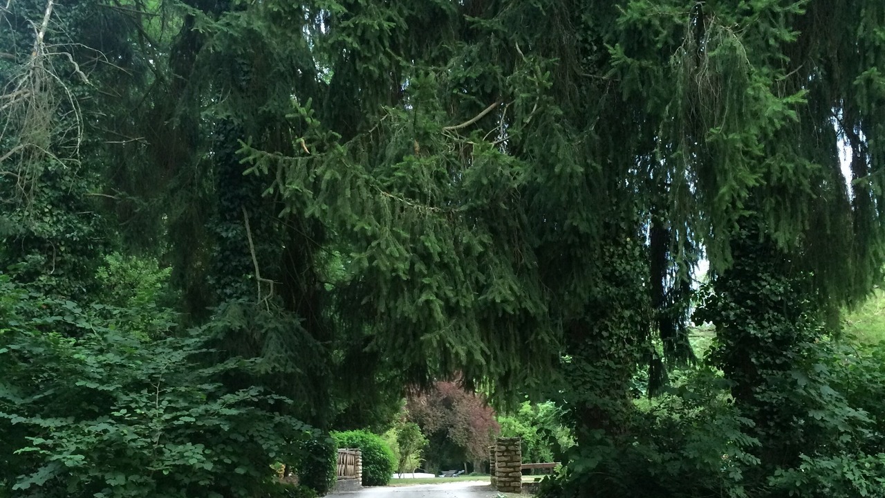 Photo of Outdoor in Clamecy