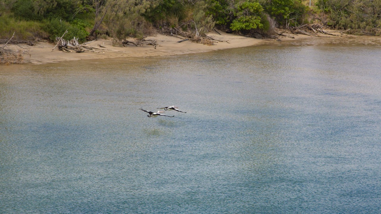 Photo of Others in Kingscliff
