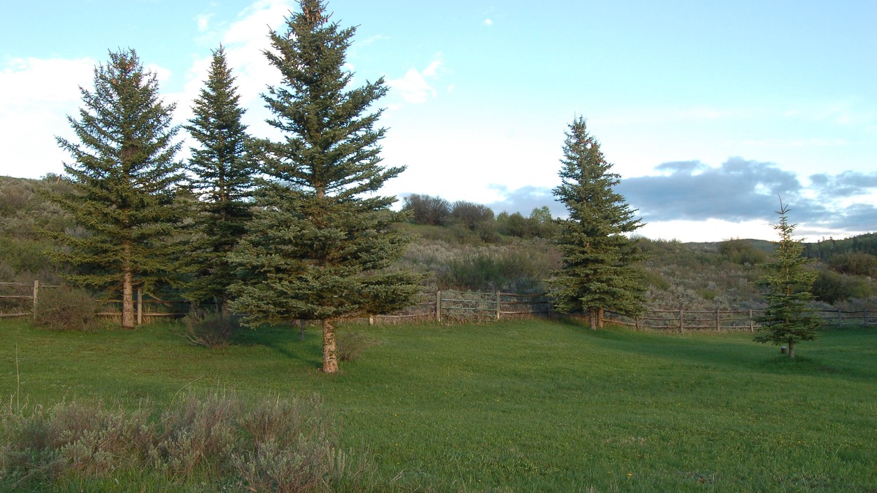 Photo of Others in Thayne