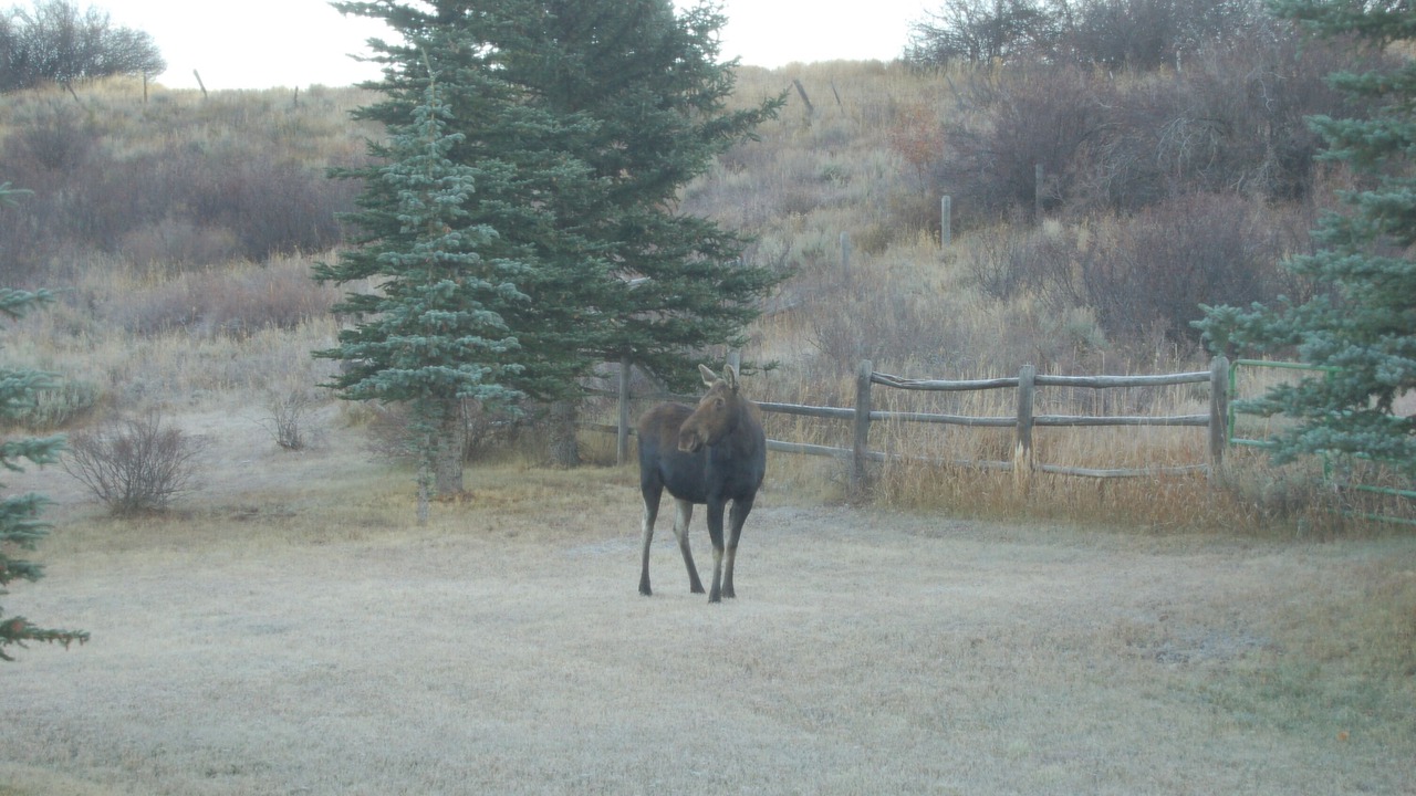 Photo of Others in Thayne