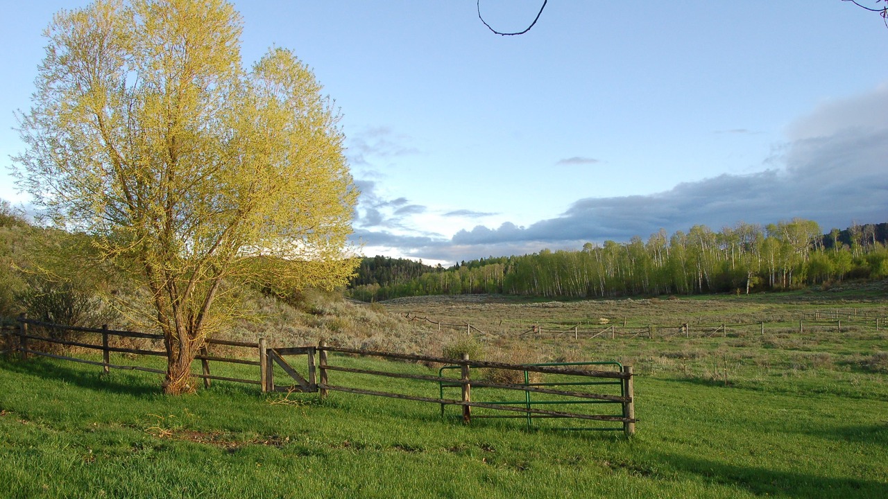 Photo of Outdoor in Thayne