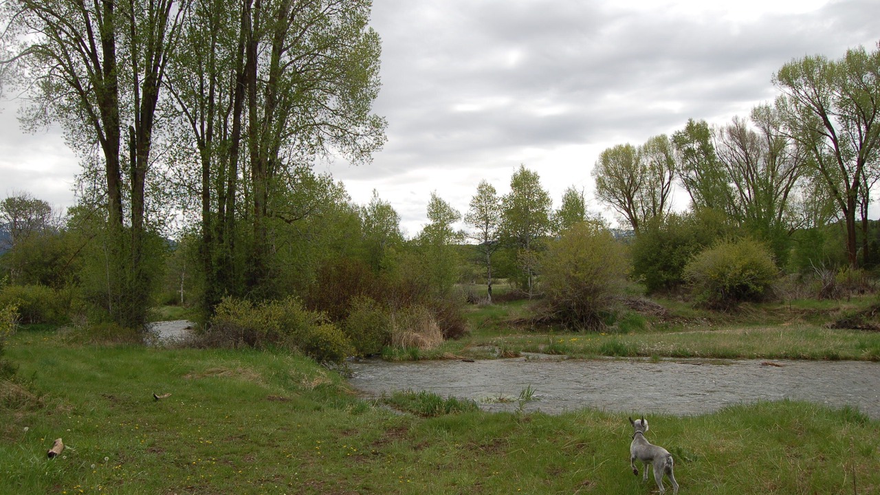 Photo of Others in Thayne