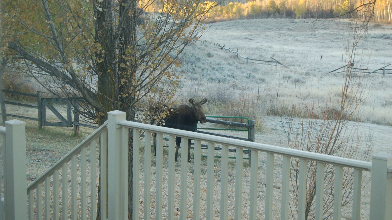 Photo of Others in Thayne