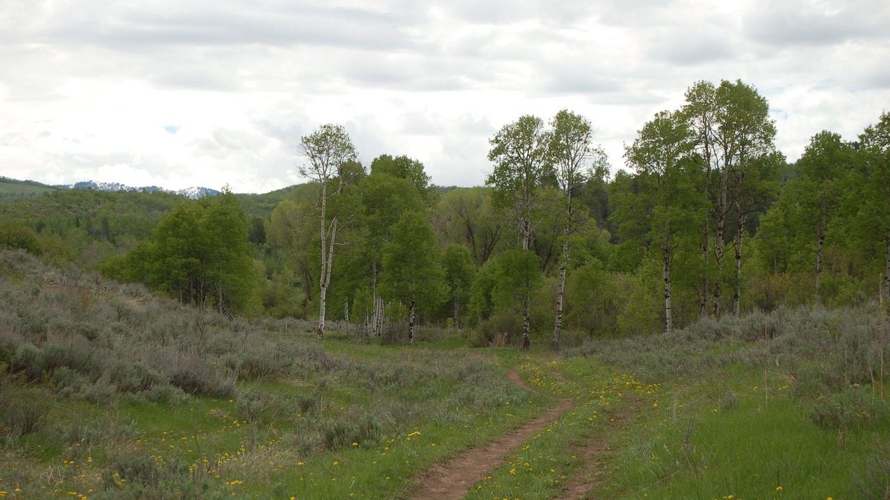 Photo of Others in Thayne