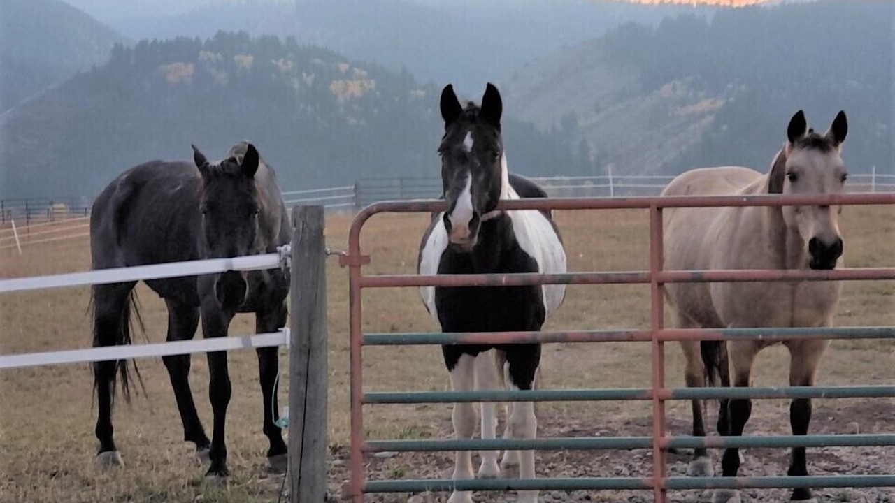 Photo of Others in Thayne