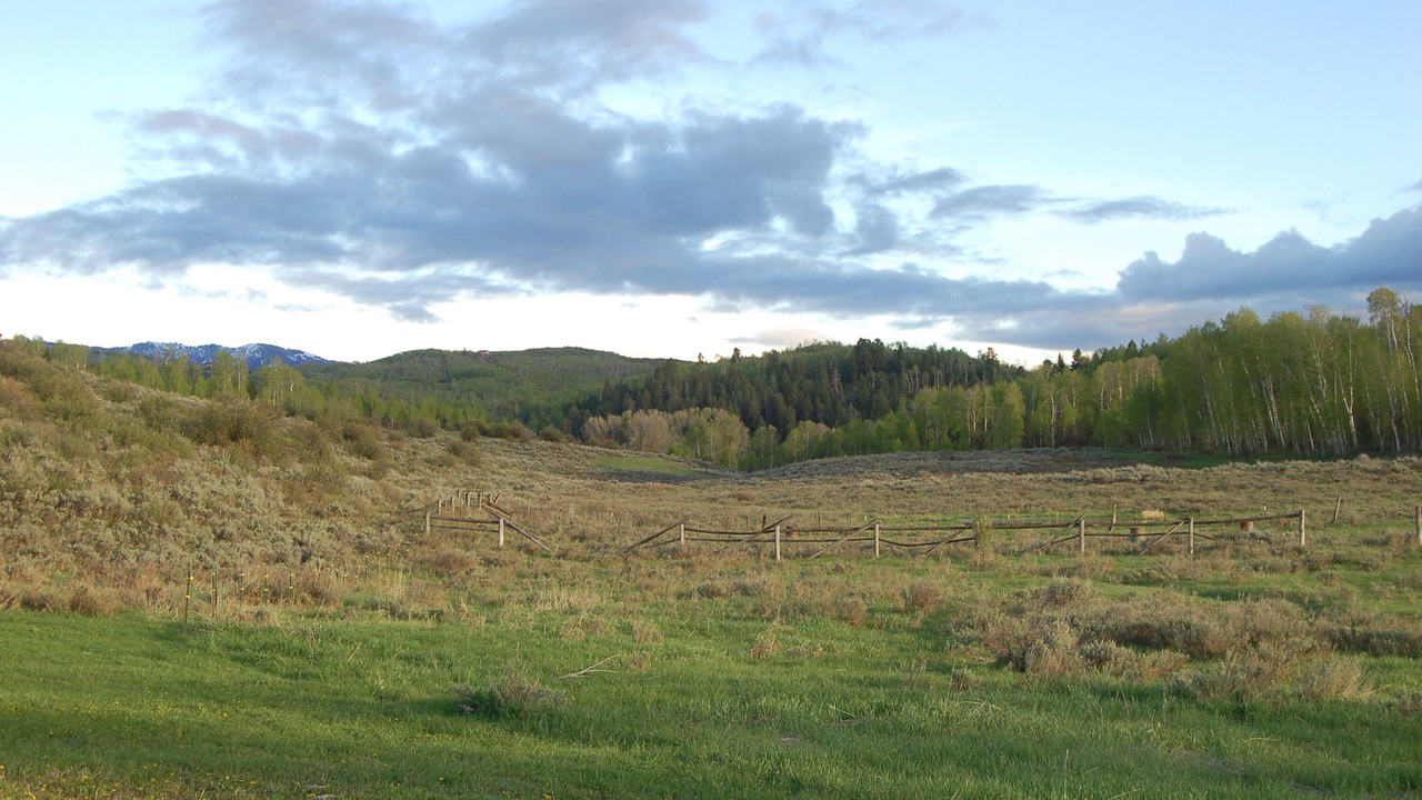 Photo of Others in Thayne