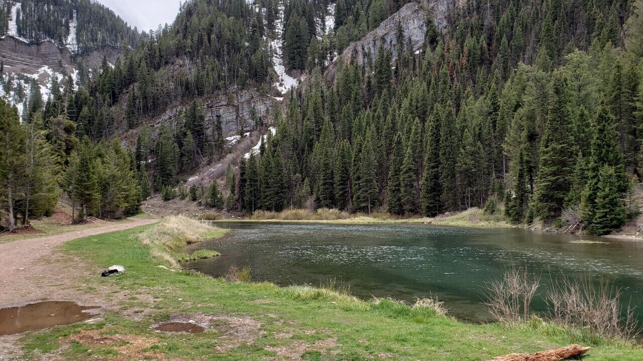 Photo of Others in Thayne