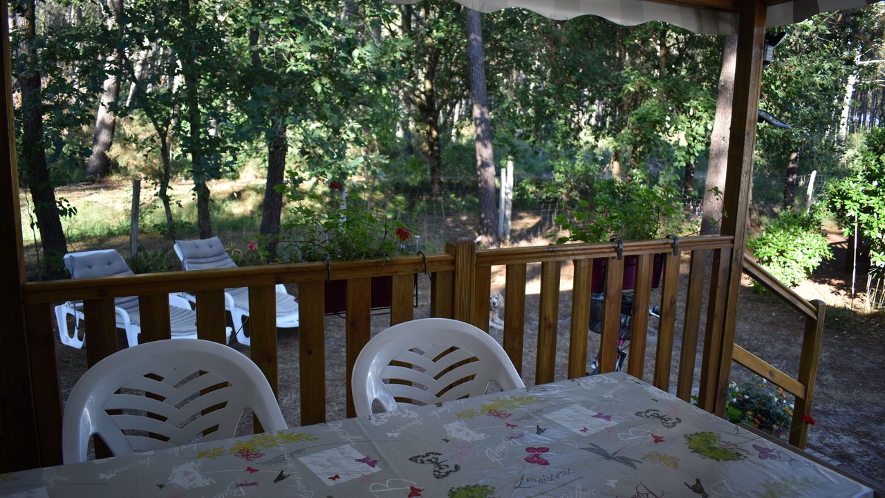 Photo of Outdoor in Saint-Julien-en-Born