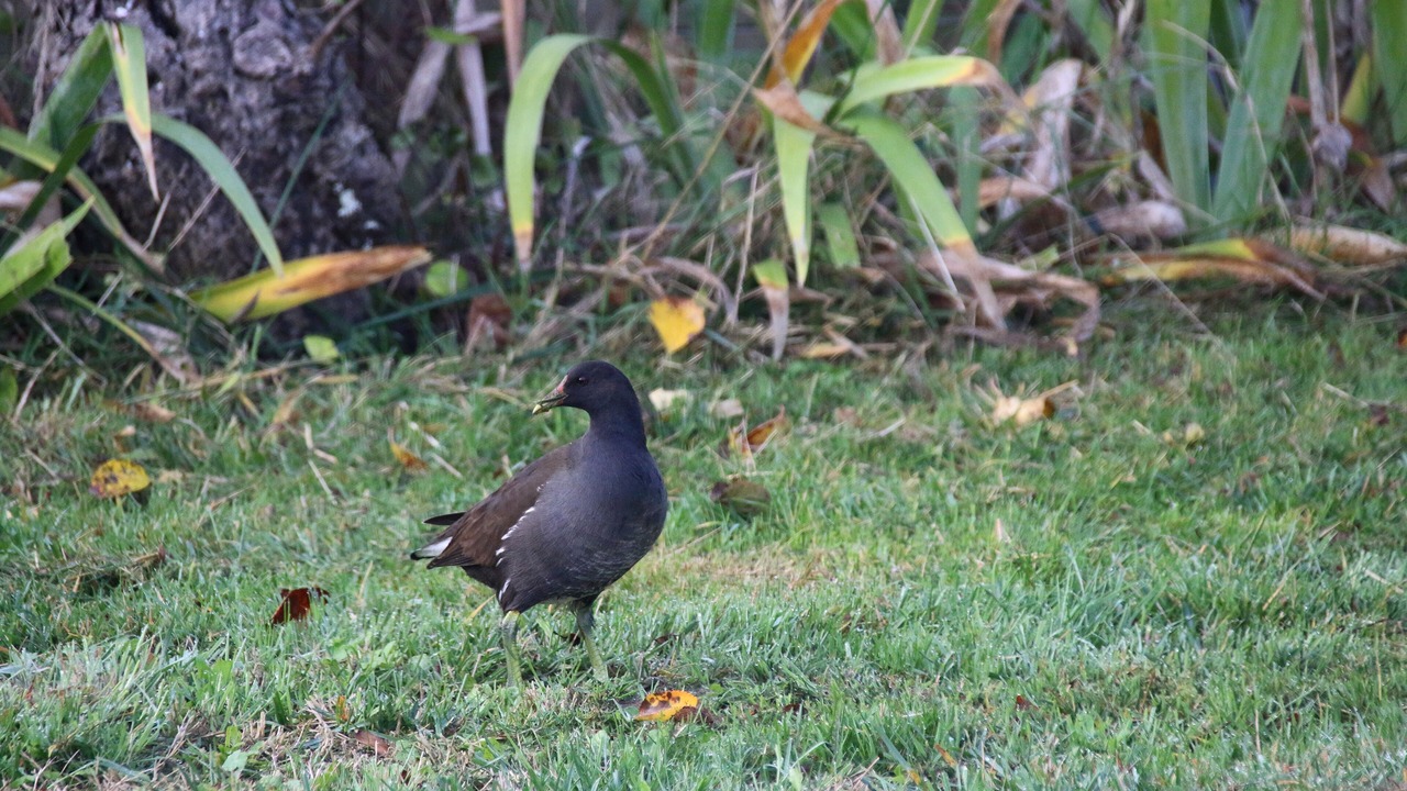 Photo of Outdoor in Saint-Hilaire-de-Riez