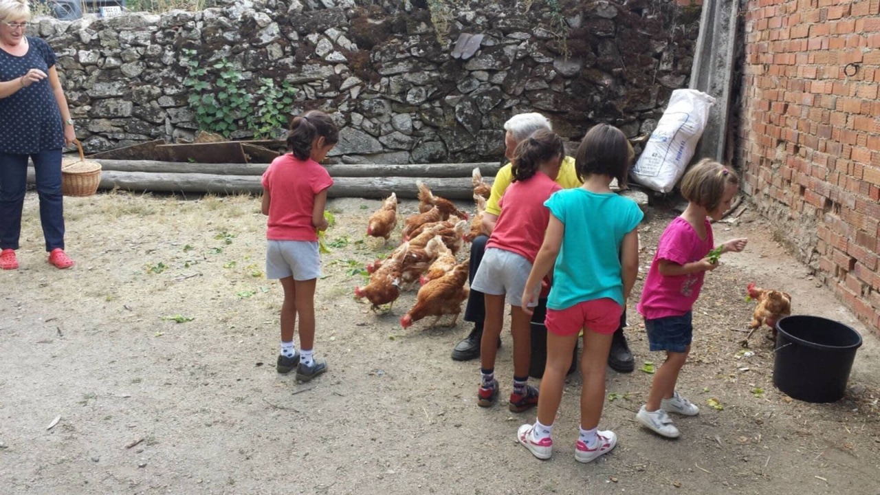 Photo of Outdoor in Navacepedilla de Corneja