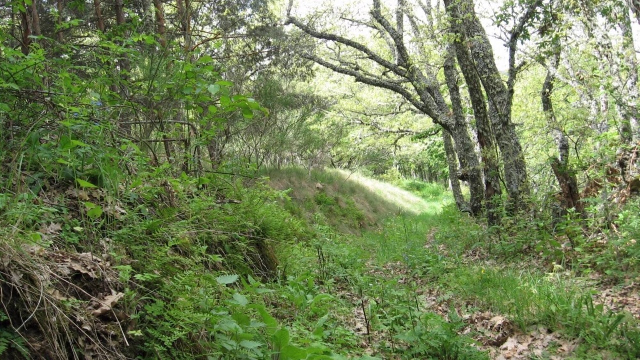 Photo of Outdoor in Navacepedilla de Corneja