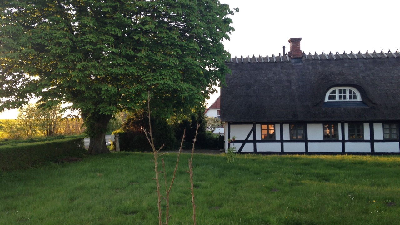 Photo of Outdoor in Faaborg