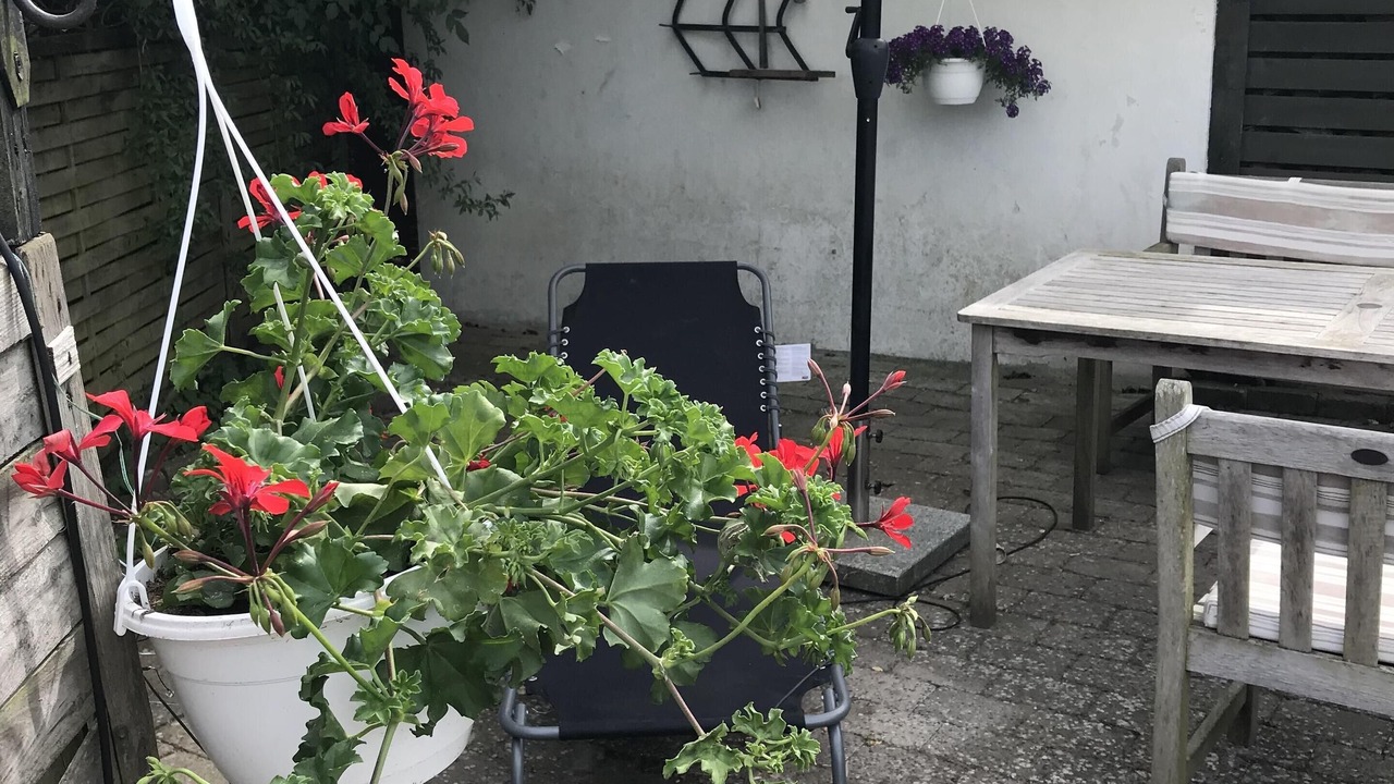 Photo of Outdoor in Faaborg