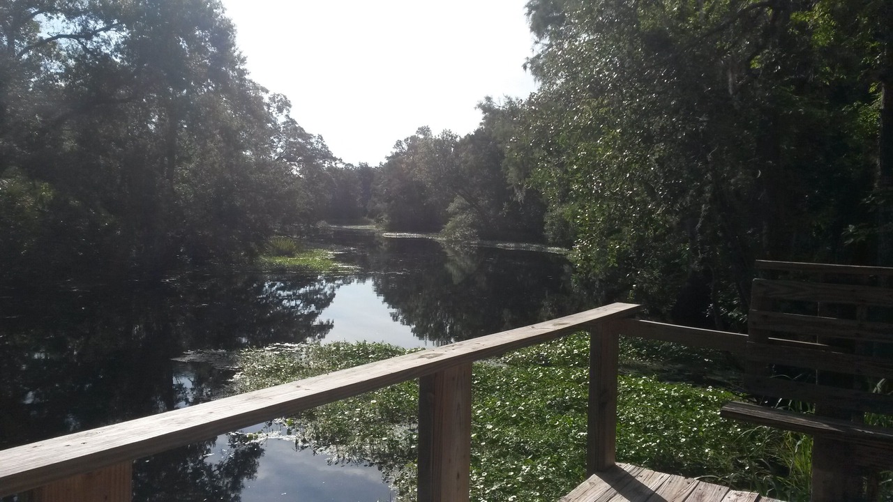 Photo of Outdoor in Bunnell