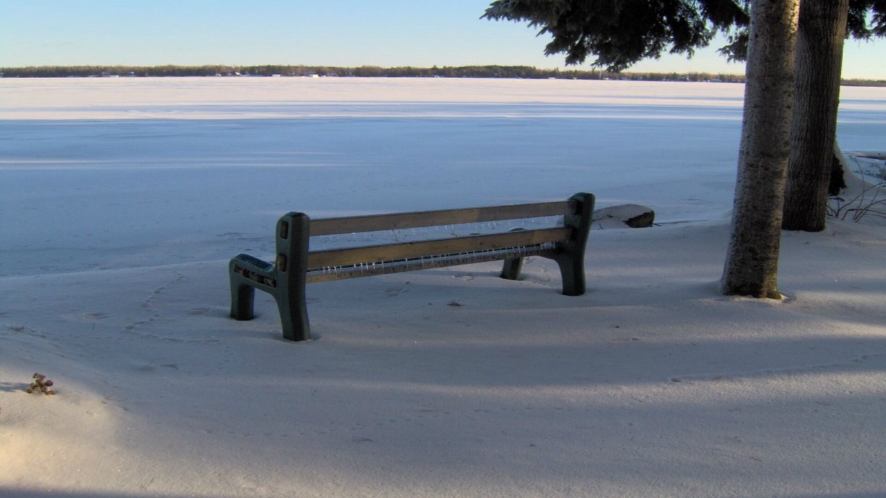 Photo of Outdoor in Kawartha Lakes