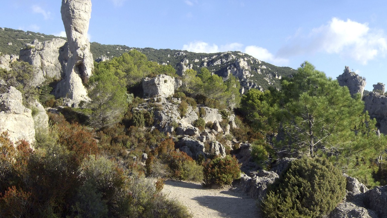 Photo of Outdoor in Saint-Jean-de-la-Blaquiere