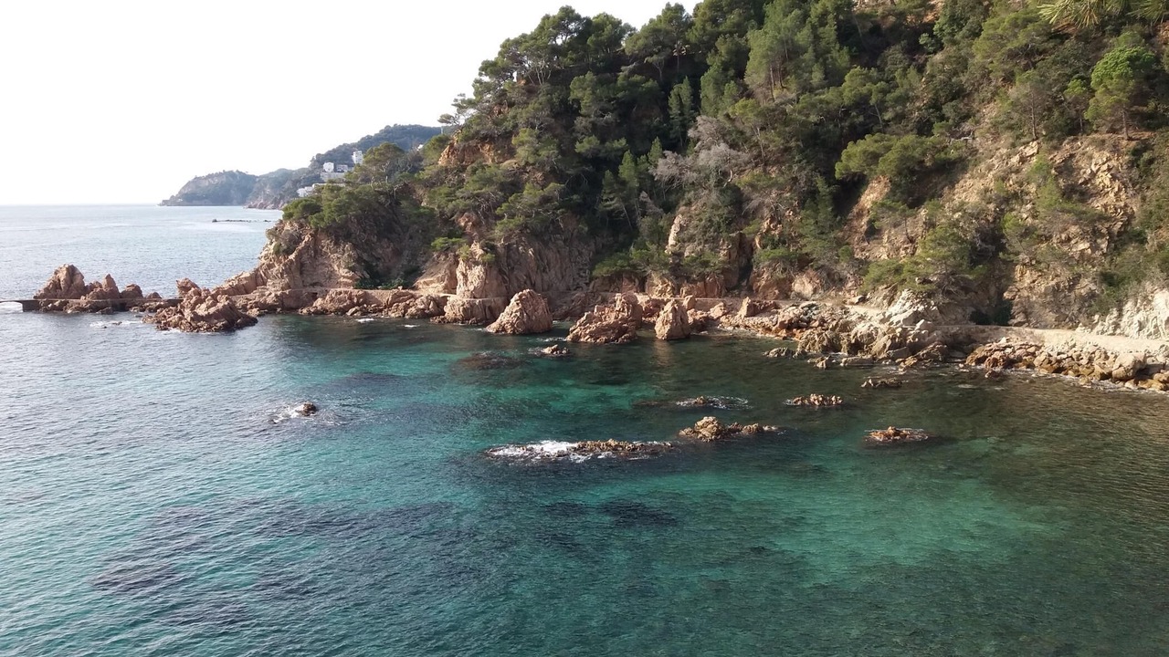 Photo of Others in Sant Feliu de Guixols