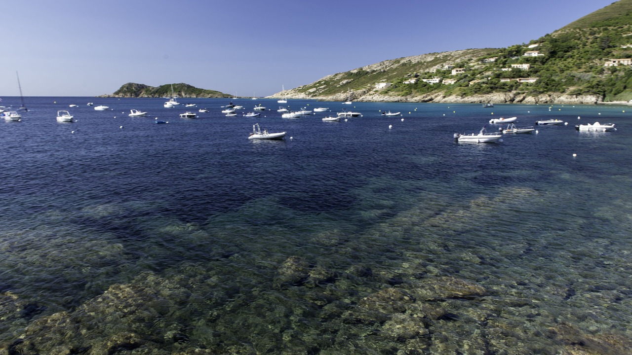 Photo of Others in Port Cogolin