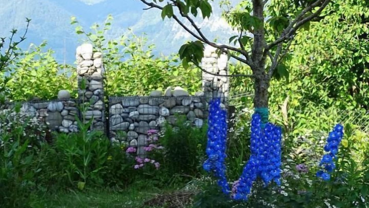 Photo of Outdoor in Aeschi bei Spiez