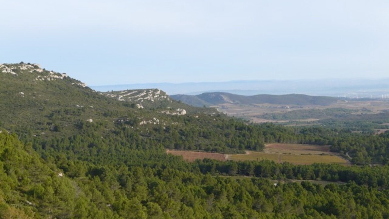 Photo of Others in Lezignan-Corbieres