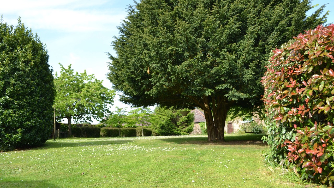 Photo of Outdoor in La Seguiniere
