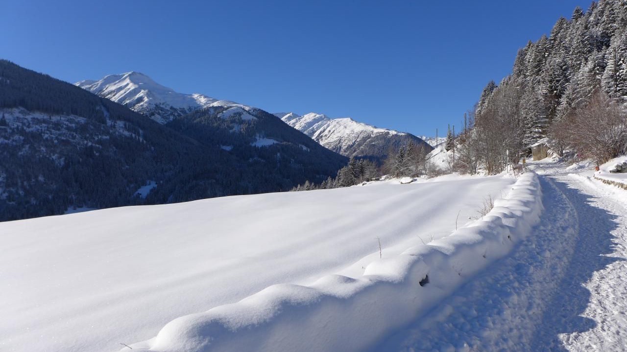 Photo of Others in Disentis