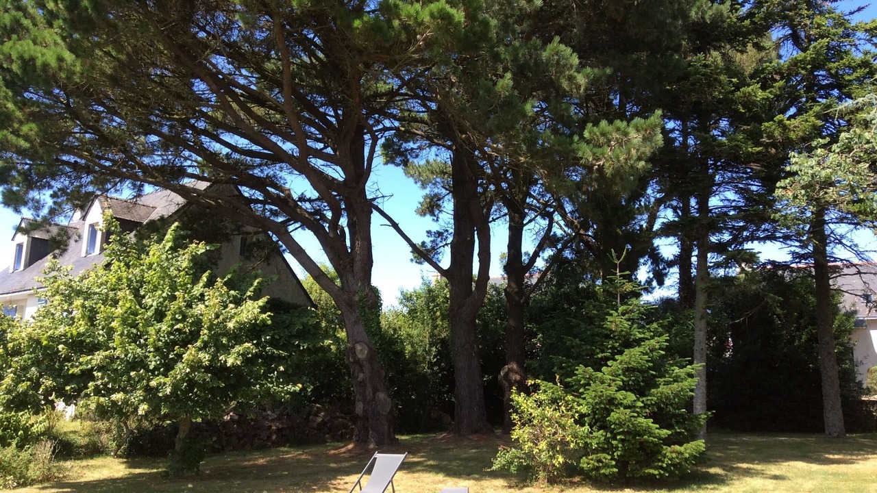 Photo of Outdoor in Clis