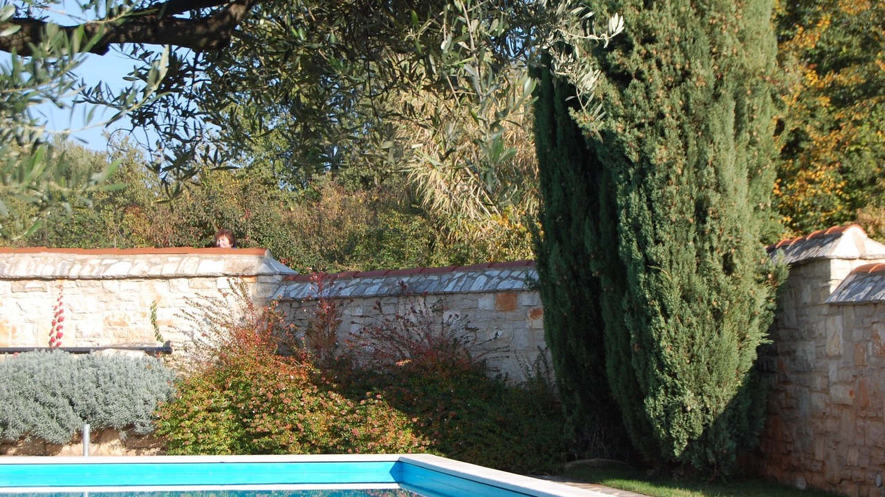 Photo of Outdoor in Vabriga