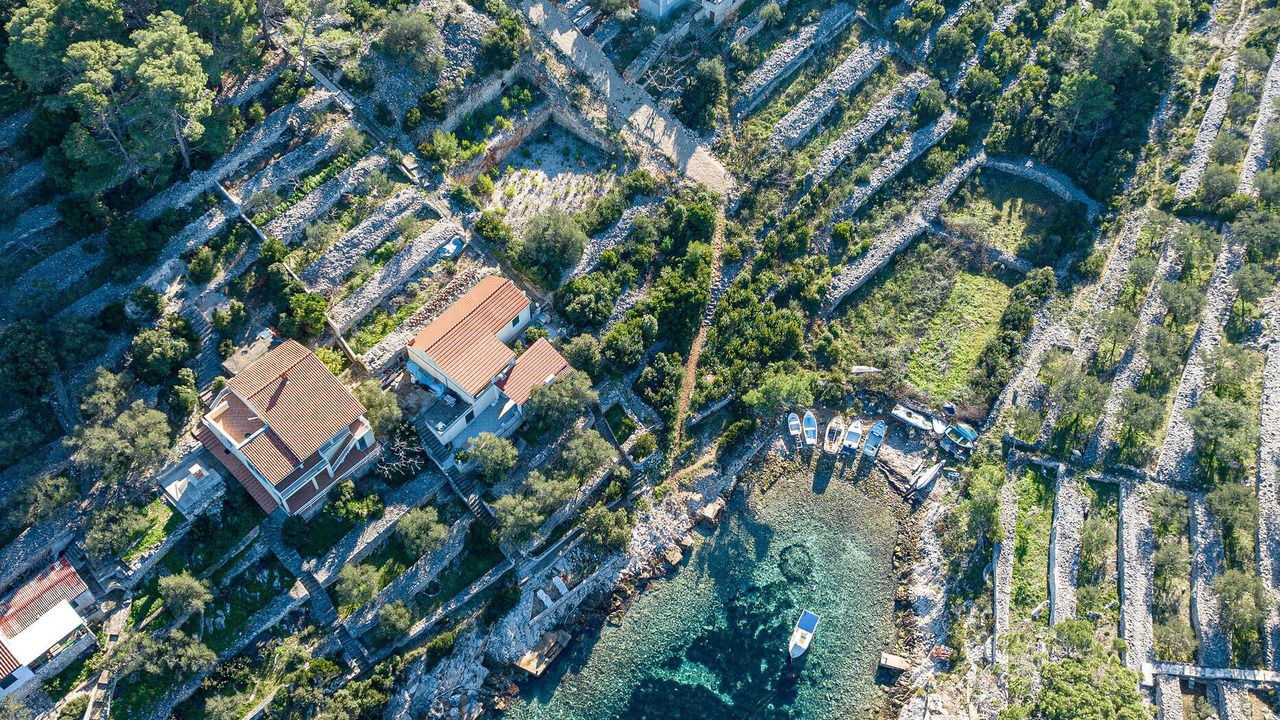 Photo of Others in Vela Luka