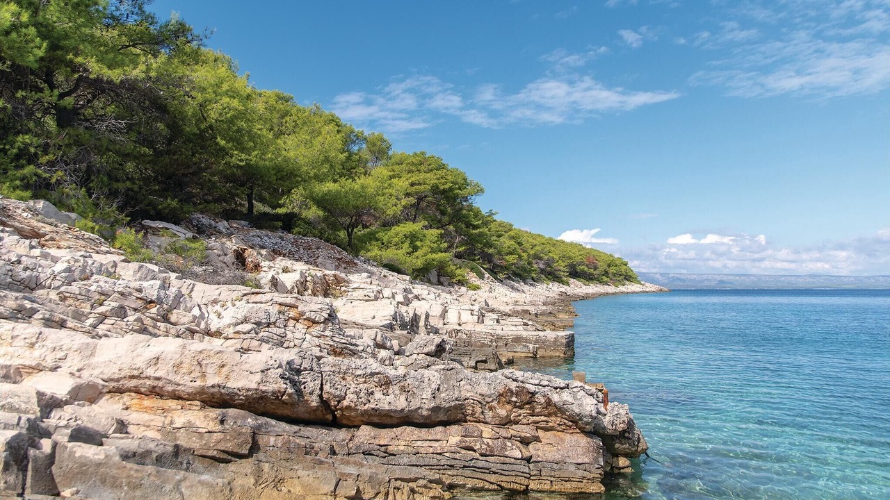 Photo of Others in Vela Luka
