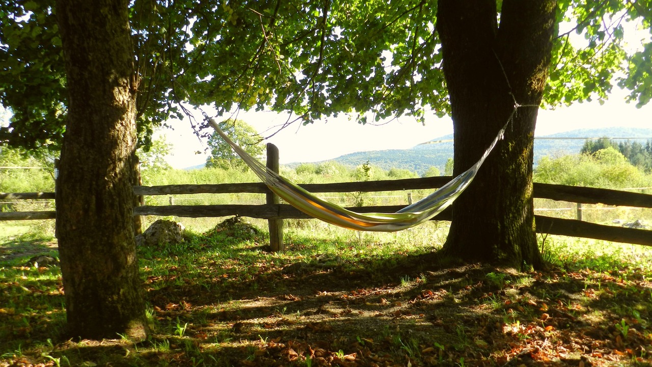 Photo of Outdoor in Plaski