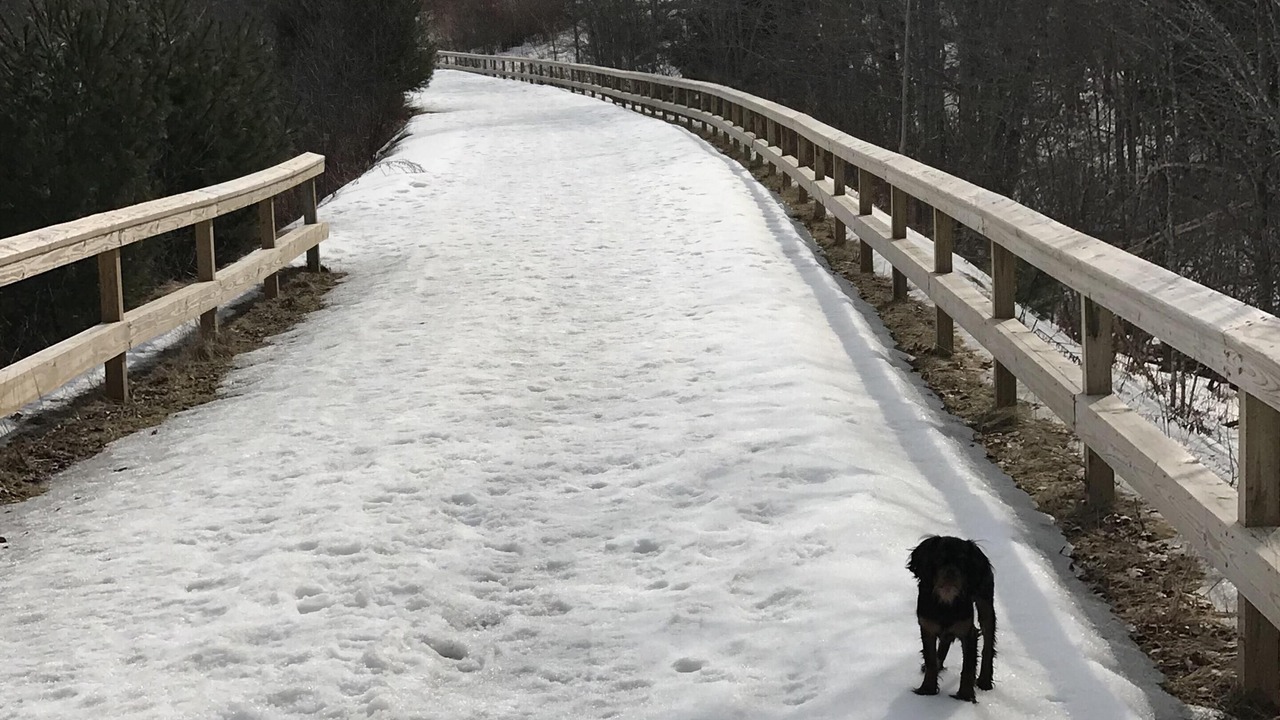 Photo of Others in Belfast