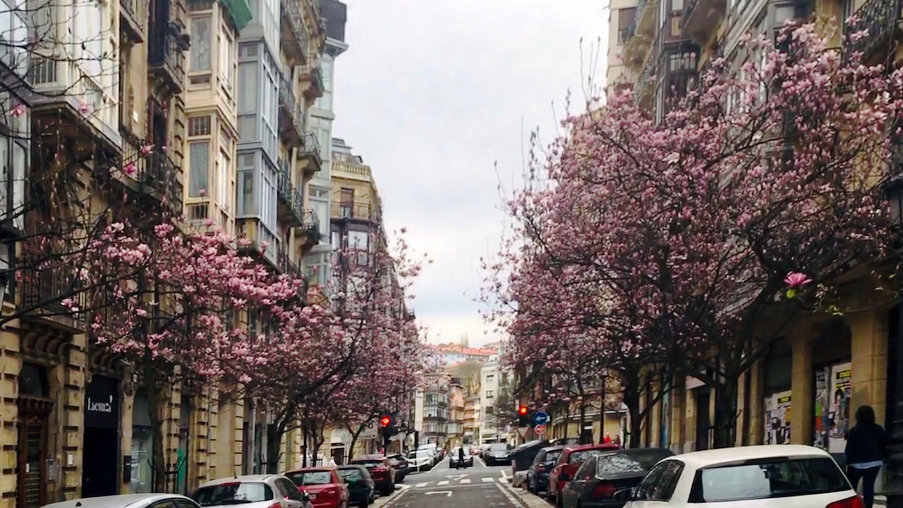 Photo of Others in San Sebastian Centro