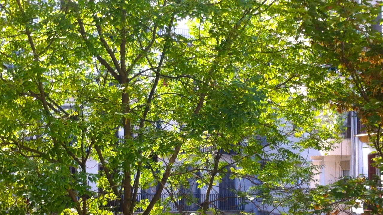 Photo of Outdoor in San Sebastian Centro