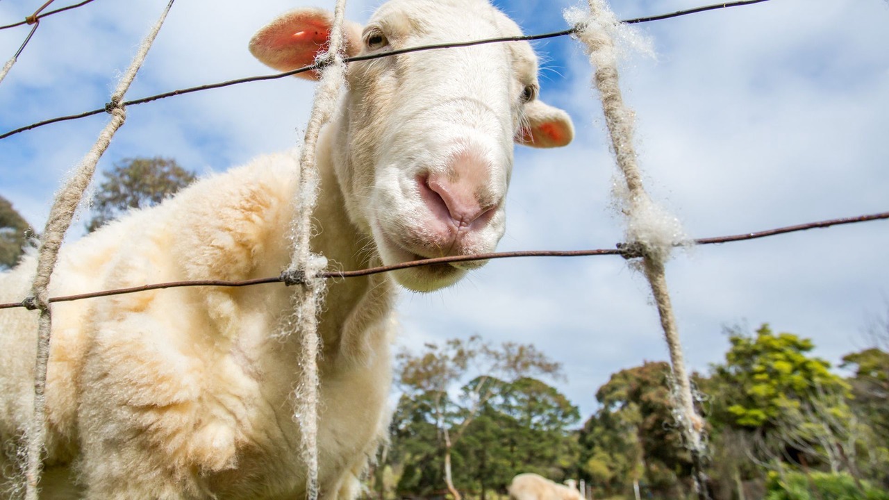 Photo of Outdoor in Red Hill South