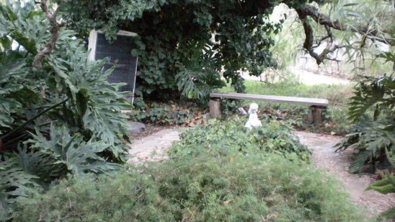 Photo of Outdoor in Tanunda