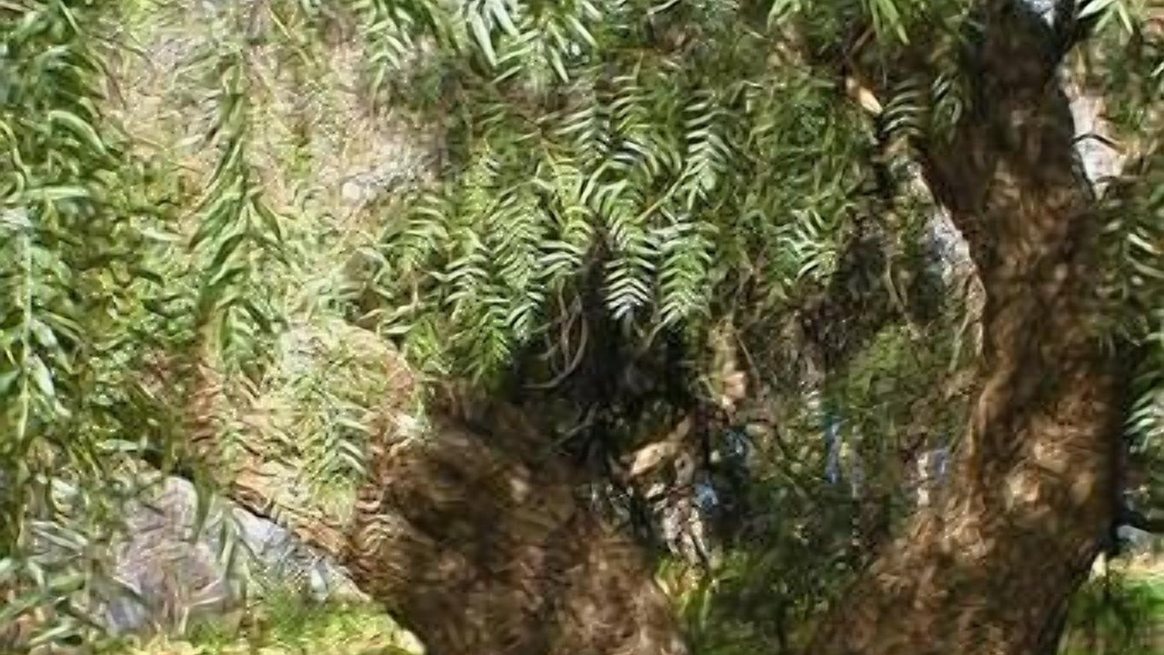 Photo of Outdoor in Tanunda