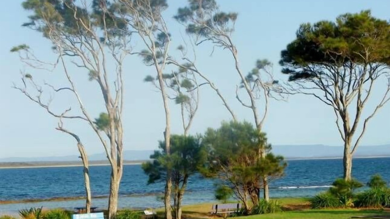 Photo of Others in Currarong