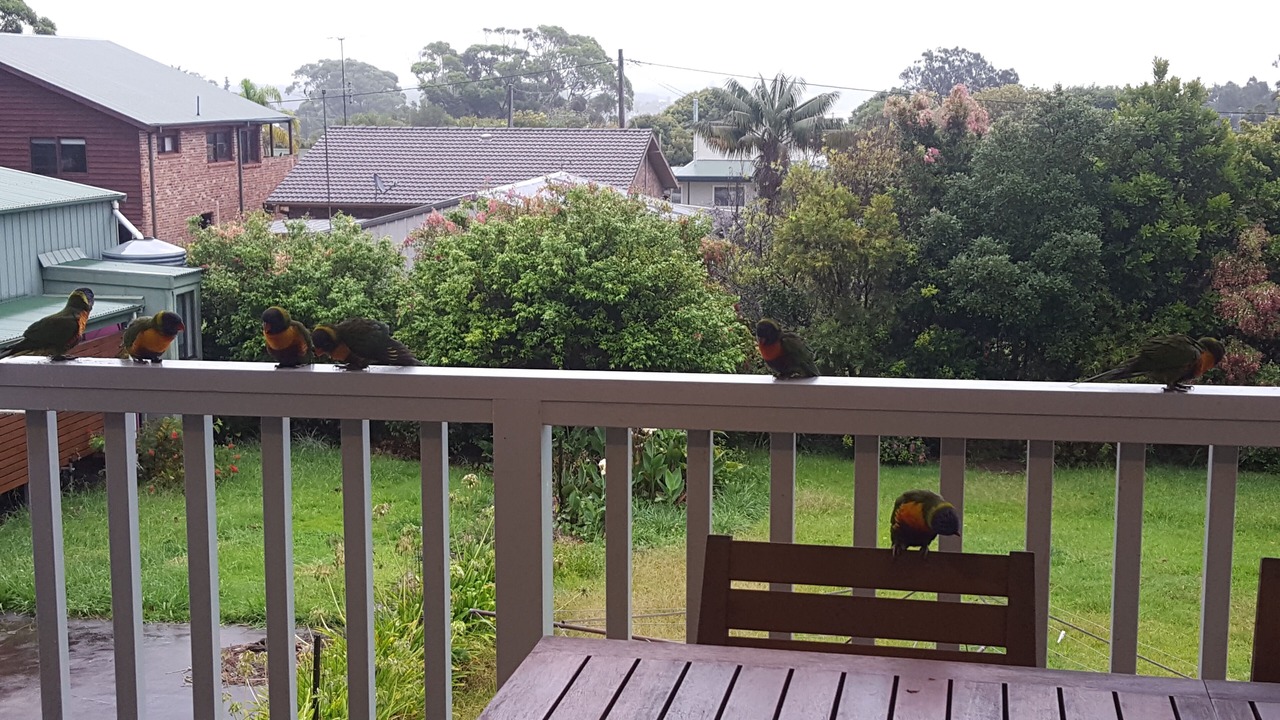 Photo of Others in Currarong