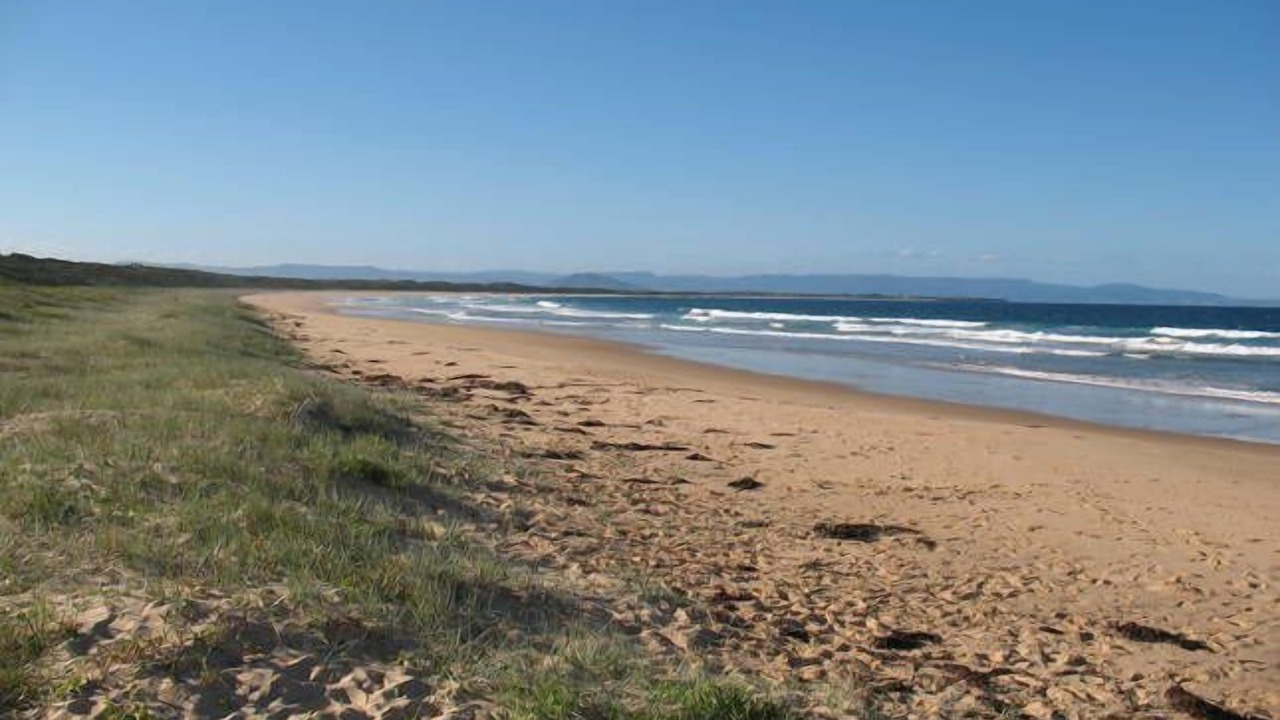 Photo of Others in Currarong