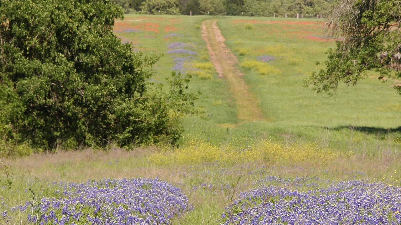 Photo of Others in Groesbeck
