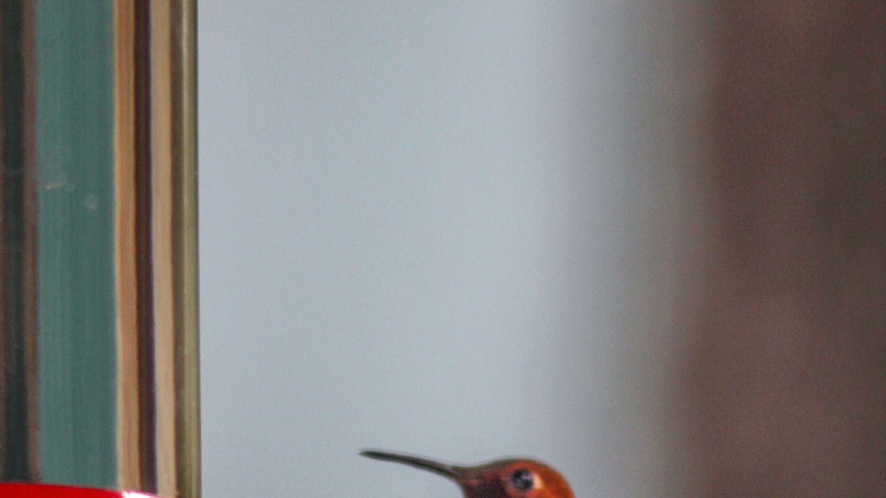 Photo of Others in Skykomish