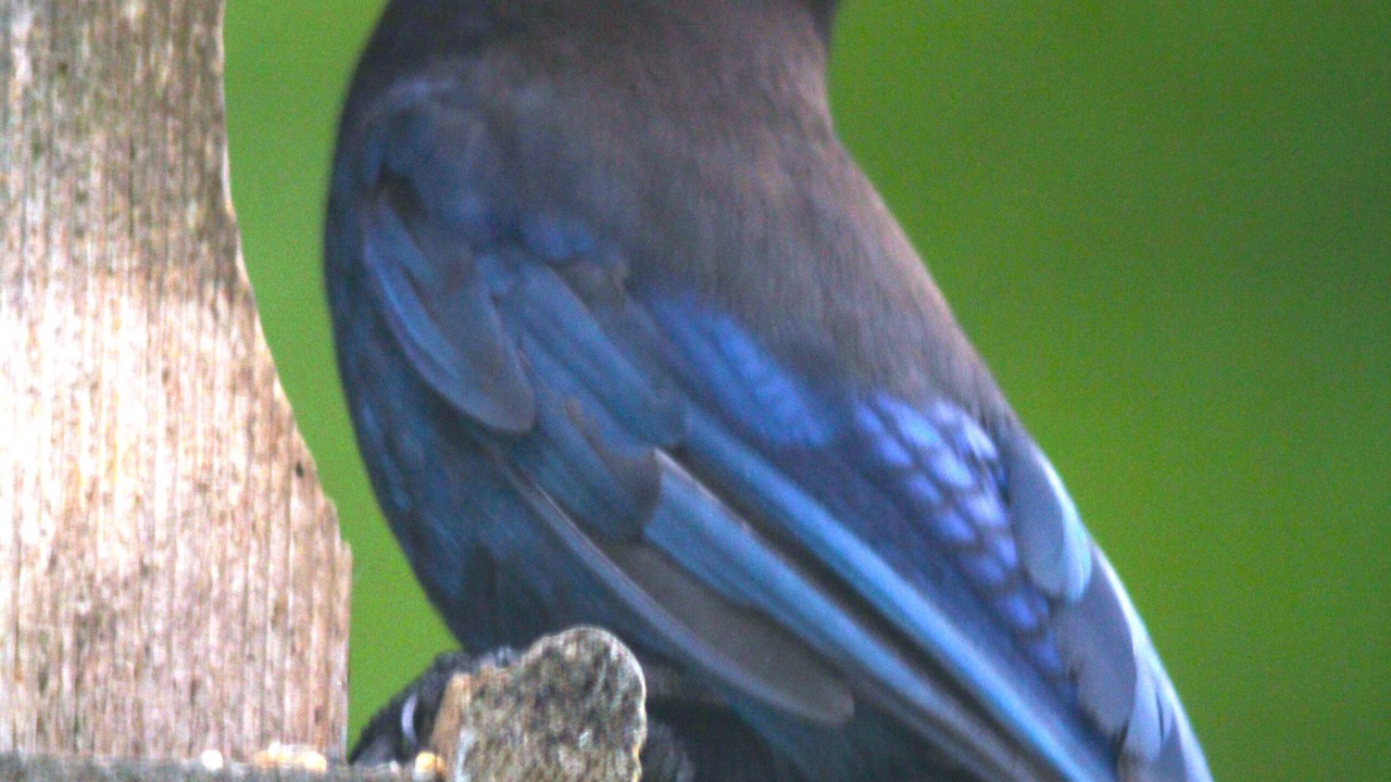 Photo of Others in Skykomish