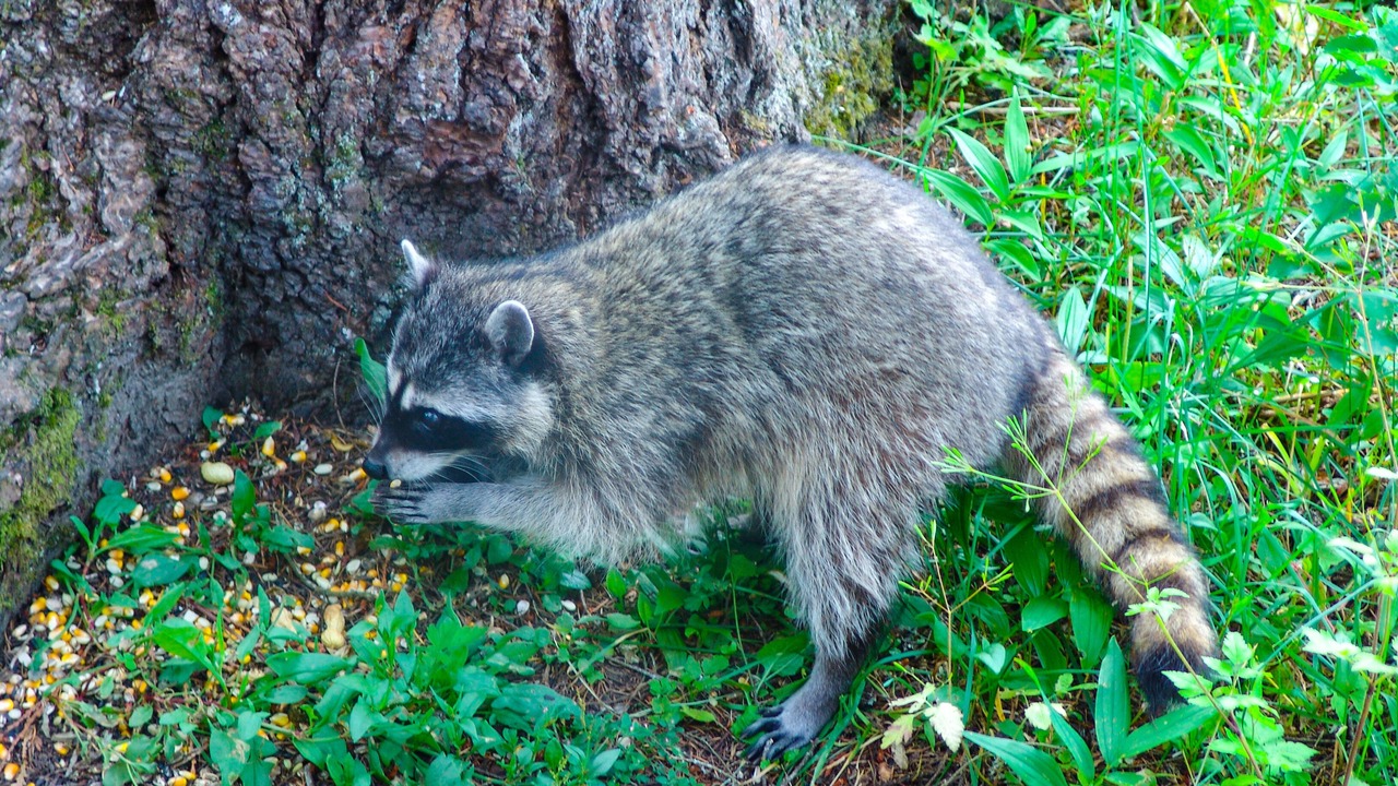 Photo of Others in Skykomish